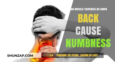 Unlocking the Mystery of Lower Back Muscle Tightness and Numbness