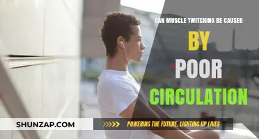 Muscle Twitching: Poor Circulation or Something Else?