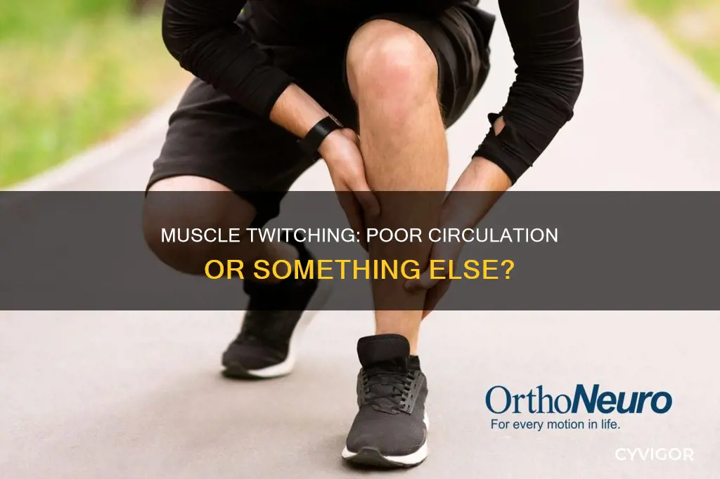 can muscle twitching be caused by poor circulation
