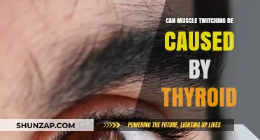 Thyroid Issues: A Cause for Muscle Twitching?