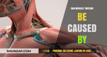 Muscle Twitching: What's Behind It?