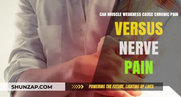 Muscle Weakness: Chronic Pain or Nerve Pain?