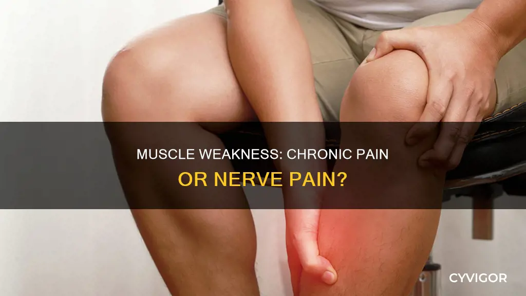 can muscle weakness cause chronic pain versus nerve pain