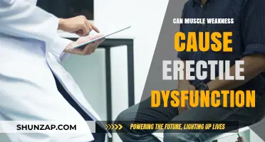 Muscle Weakness and Erectile Dysfunction: Is There a Link?