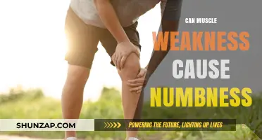 Muscle Weakness and Numbness: What's the Connection?