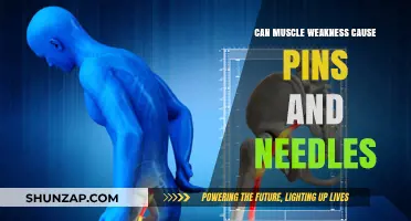 Muscle Weakness and Pins and Needles: What's the Link?