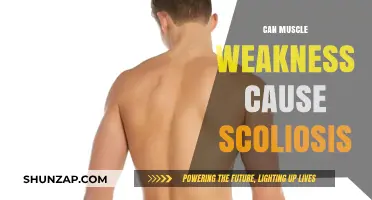 Muscle Weakness and Scoliosis: Is There a Link?