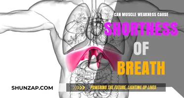 Muscle Weakness and Shortness of Breath: What's the Link?