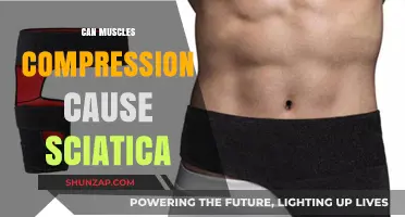 Muscle Compression: A Cause of Sciatica?