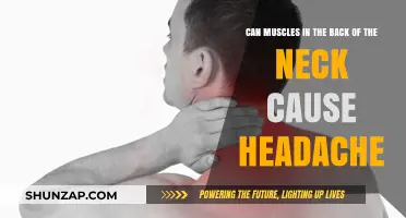 Neck Muscle Tension: A Headache Trigger?