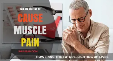 Statins and Muscle Pain: What's the Link?