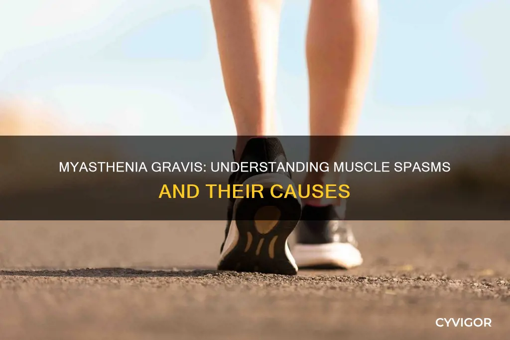 can myasthenia gravis cause muscle spasms