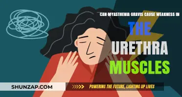 Myasthenia Gravis: Can It Weaken Urethra Muscles?