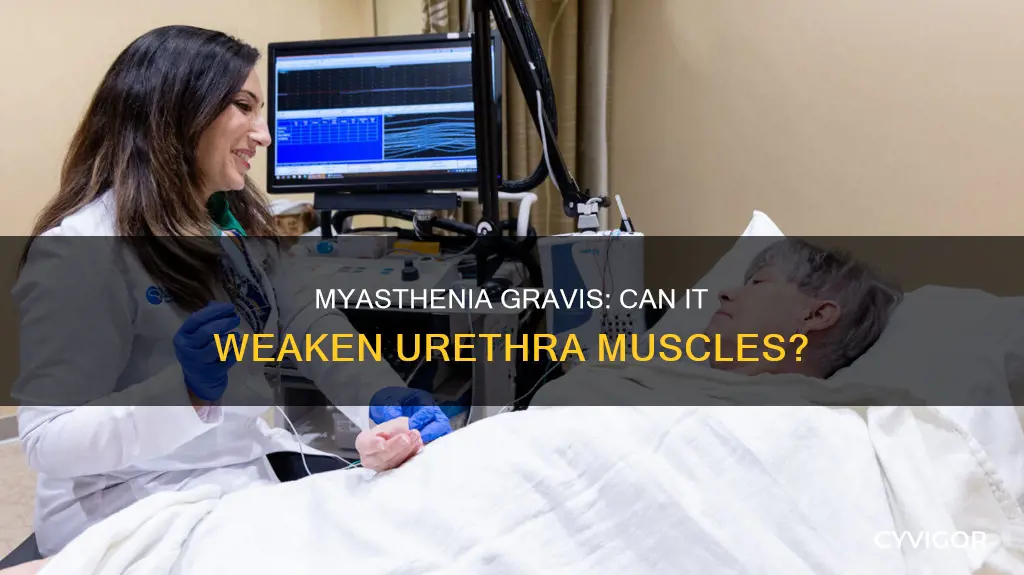 can myasthenia gravis cause weakness in the urethra muscles