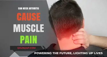 Neck Arthritis: Understanding the Link to Muscle Pain