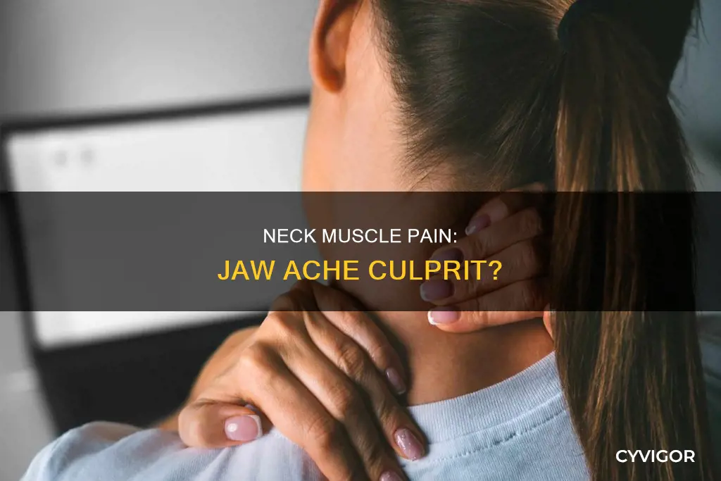 can neck muscle pain cause jaw to ache