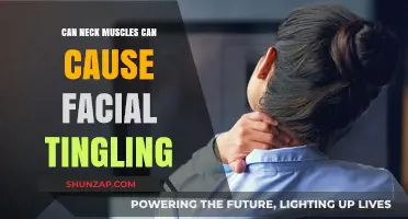 Neck Muscles and Facial Tingling: What's the Connection?