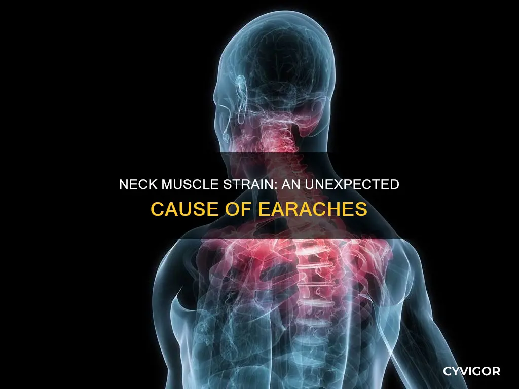 can neck muscles cause earaches