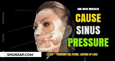 Neck Muscles and Sinus Pressure: What's the Link?