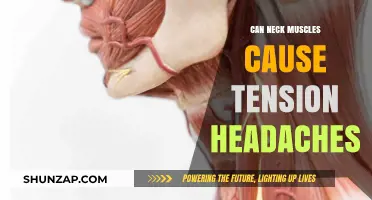 Neck Muscle Tension: A Headache Trigger?