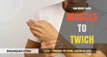Nerve-Muscle Connection: Why Twitching Occurs