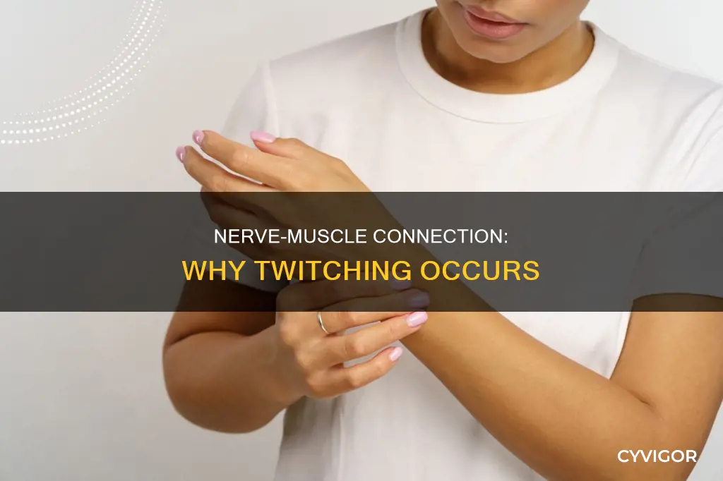 can nerve cause muscle to twich