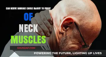 Neck Nerve Damage: How Does It Affect Neck Muscles?