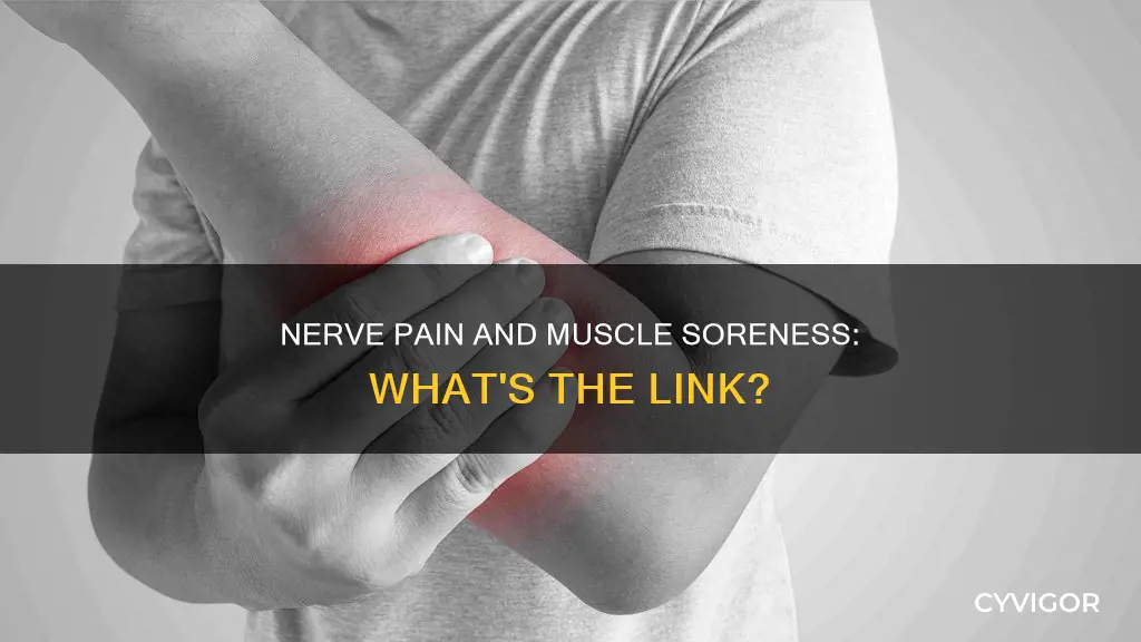 can nerve pain cause muscle soreness