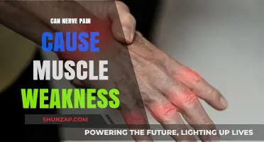Nerve Pain and Muscle Weakness: What's the Link?