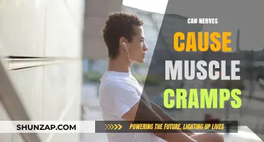 Nerve-Muscle Connection: Cramps and Their Causes