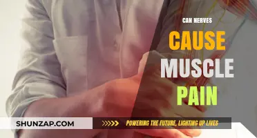 Nerve-Muscle Connection: Understanding Pain Origins