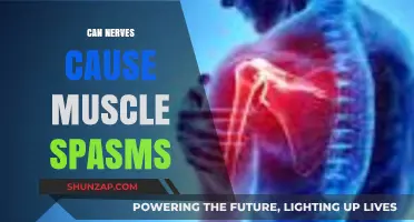 Nerves and Muscle Spasms: What's the Connection?