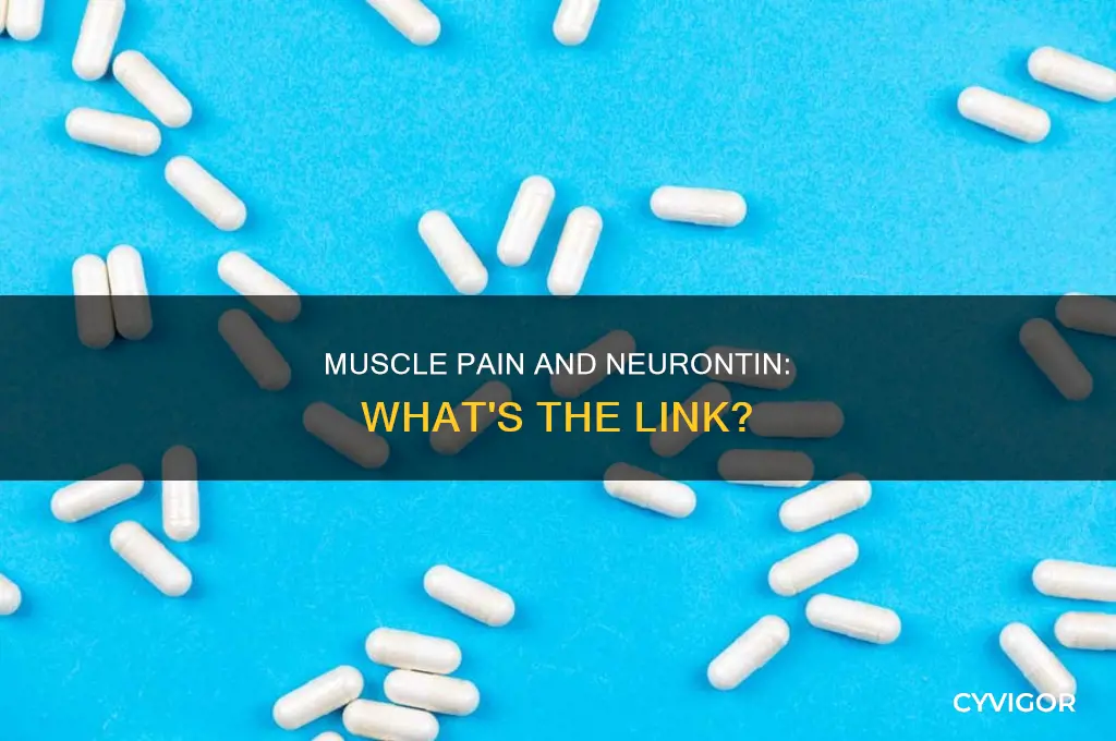 can neurontin cause muscle pain