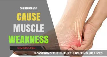 Neuropathy and Muscle Weakness: What's the Link?