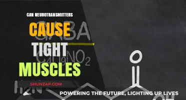 Neurotransmitter Imbalance: The Root Cause of Tight Muscles?