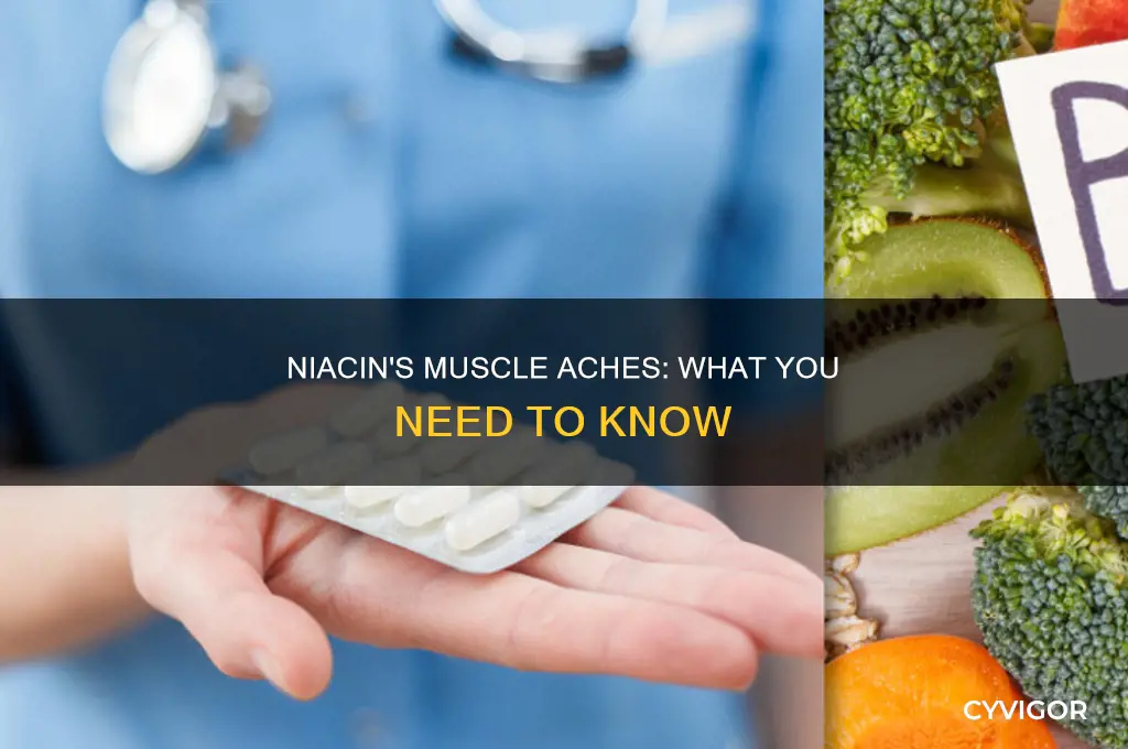 can niacin cause muscle aches