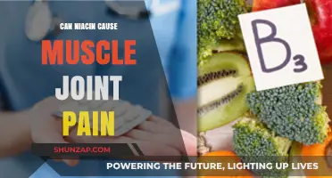 Niacin Intake: Muscle and Joint Pain Side Effects