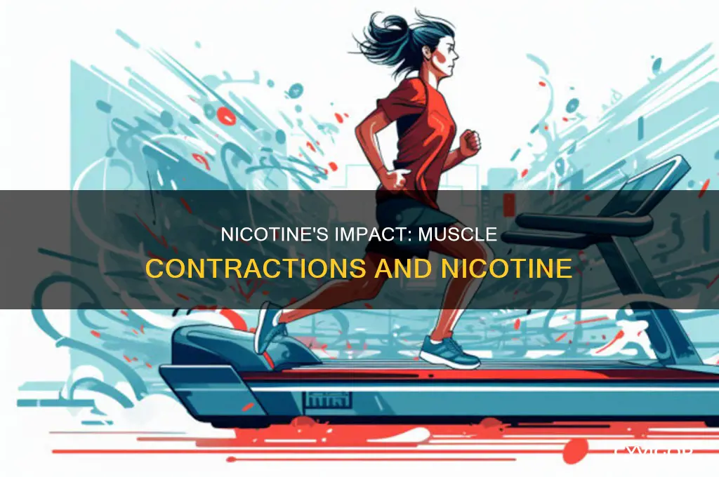 can nicotine cause muscle contractions