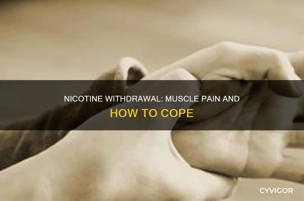 can nicotine withdrawal cause muscle pain