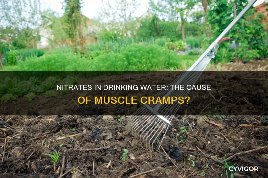 can nitrates in your water cause muscle cramps