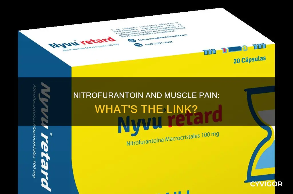 can nitrofurantoin cause muscle pain