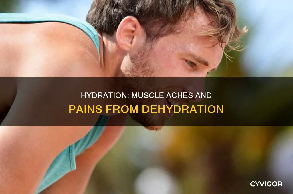 can not drinking enough water cause muscle aches