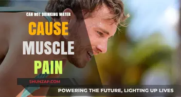 Dehydration and Muscle Pain: The Surprising Connection