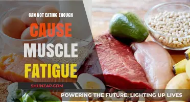 Starving Your Muscles: The Link Between Diet and Fatigue