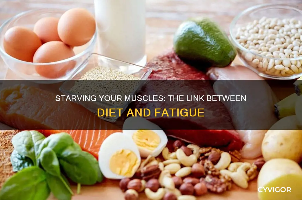 can not eating enough cause muscle fatigue