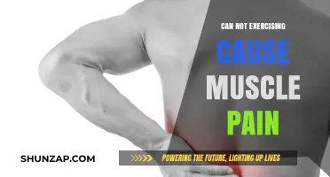 Lack of Exercise: A Cause of Muscle Pain?