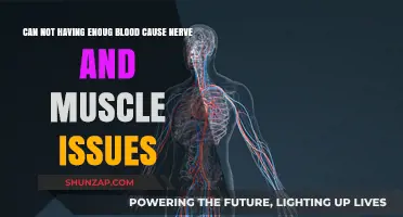 Blood, Nerves, and Muscles: The Vital Connection