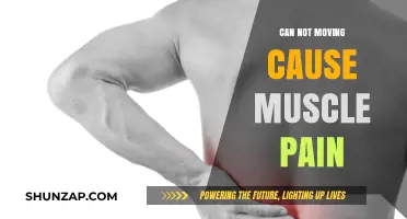 Muscle Pain and Lack of Movement: What's the Link?