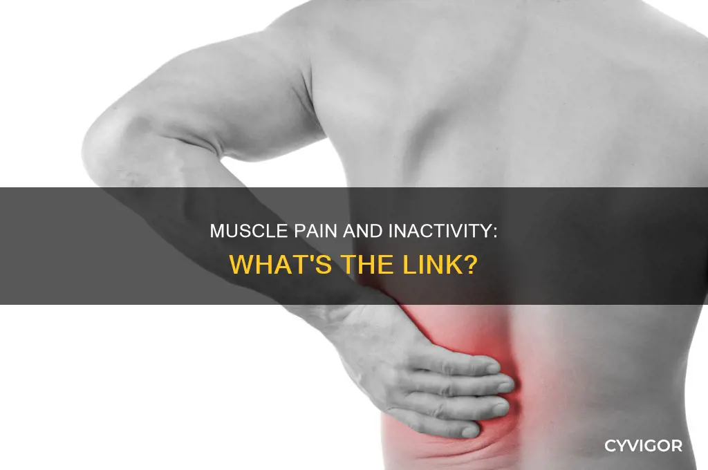 can not working out cause muscle pain