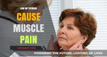 NP Thyroid: Muscle Pain as a Potential Side Effect